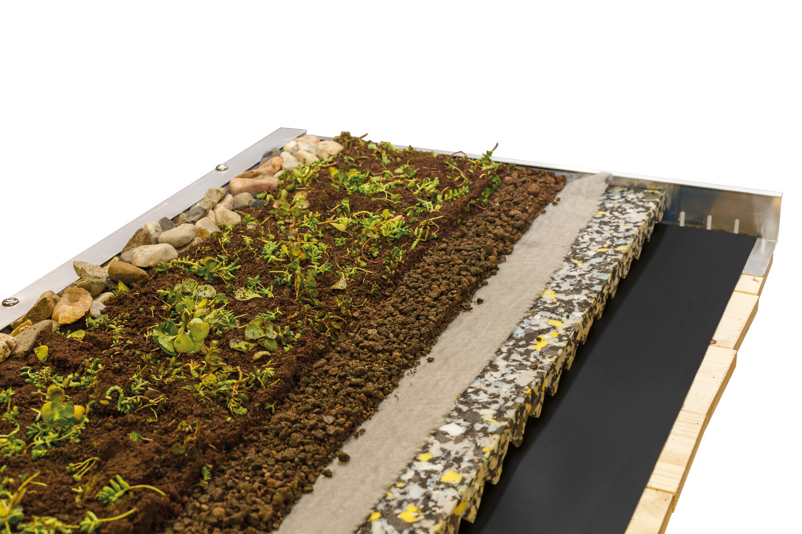 Dachbegrünungspaket 400 x 600 cm für Emsland/Wendland