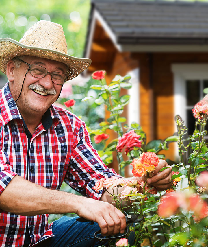 Mann mit Strohhut und kariertem Hemd schneidet Rosen vor einem Holzhaus mit Satteldach.
